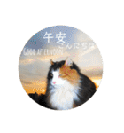 我が家の動物園（個別スタンプ：2）