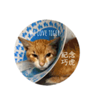 我が家の動物園（個別スタンプ：7）