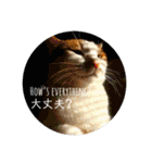 我が家の動物園（個別スタンプ：36）