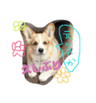 僕を海に連れてって（個別スタンプ：1）