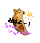 僕を海に連れてって（個別スタンプ：3）
