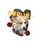 僕を海に連れてって（個別スタンプ：5）