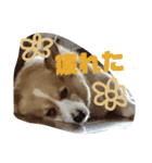 僕を海に連れてって（個別スタンプ：7）