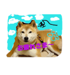 僕を海に連れてって（個別スタンプ：8）