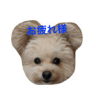 rois スタンプ（個別スタンプ：5）