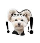rois スタンプ（個別スタンプ：7）