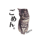 くるみるくろちゃん（個別スタンプ：4）