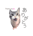 くるみるくろちゃん（個別スタンプ：8）