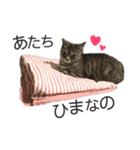くるみるくろちゃん（個別スタンプ：9）