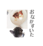 くるみるくろちゃん（個別スタンプ：10）
