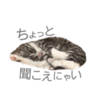 くるみるくろちゃん（個別スタンプ：13）