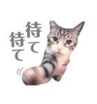 くるみるくろちゃん（個別スタンプ：27）