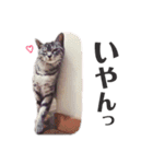 くるみるくろちゃん（個別スタンプ：28）