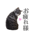 くるみるくろちゃん（個別スタンプ：30）
