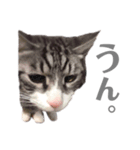 くるみるくろちゃん（個別スタンプ：32）