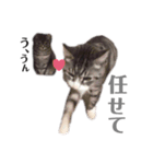 くるみるくろちゃん（個別スタンプ：35）