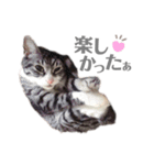 くるみるくろちゃん（個別スタンプ：37）