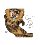 うちの猫たち stamp（個別スタンプ：15）