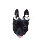 のあ2（個別スタンプ：3）
