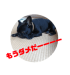 のあ2（個別スタンプ：5）