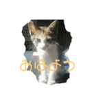 レオとナツ（個別スタンプ：3）