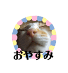レオとナツ（個別スタンプ：7）