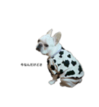 フレブルバムちゃん（個別スタンプ：3）