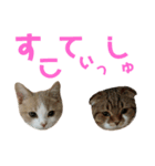 ひこ＆くにゃ（個別スタンプ：5）