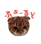 ひこ＆くにゃ（個別スタンプ：7）