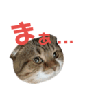 ひこ＆くにゃ（個別スタンプ：10）