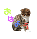ひこ＆くにゃ（個別スタンプ：12）