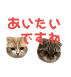 ひこ＆くにゃ（個別スタンプ：15）