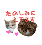 ひこ＆くにゃ（個別スタンプ：16）