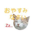 ひこ＆くにゃ（個別スタンプ：17）