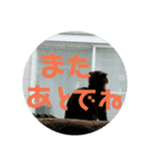 ひこ＆くにゃ（個別スタンプ：19）