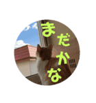 ひこ＆くにゃ（個別スタンプ：20）