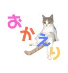 ひこ＆くにゃ（個別スタンプ：21）