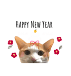 まいにゃんこ。（個別スタンプ：22）