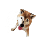 raru.②（個別スタンプ：3）