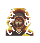 raru.②（個別スタンプ：4）