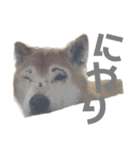 raru.②（個別スタンプ：7）