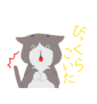 色々などうぶつたち（個別スタンプ：19）