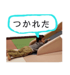 親子でスタンプ（個別スタンプ：12）