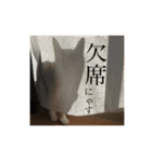 Daliのにゃん語スタンプII（個別スタンプ：13）