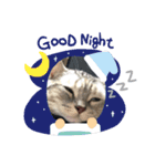 猫の小鉄。（個別スタンプ：6）