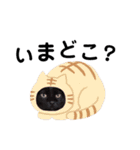 いぬたちねこたち（個別スタンプ：33）