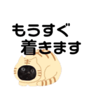 いぬたちねこたち（個別スタンプ：34）