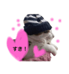 おっさん猫の言葉（個別スタンプ：4）