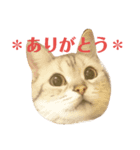 ディオちゃんといっしょ（個別スタンプ：2）