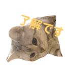 ディオちゃんといっしょ（個別スタンプ：4）